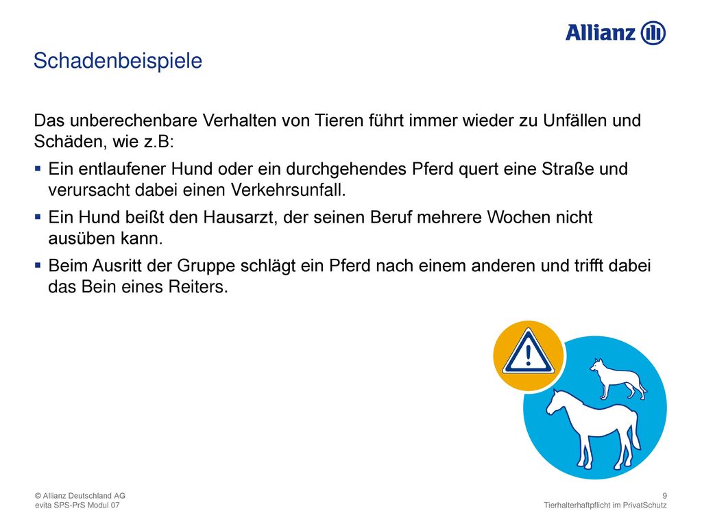 Schadenbeispiele Das unberechenbare Verhalten von Tieren führt immer wieder zu Unfällen und Schäden, wie z.B:
