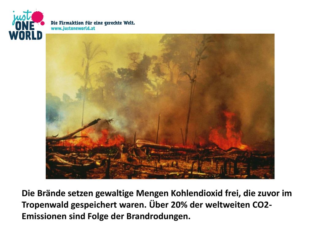 Die Brände setzen gewaltige Mengen Kohlendioxid frei, die zuvor im Tropenwald gespeichert waren.