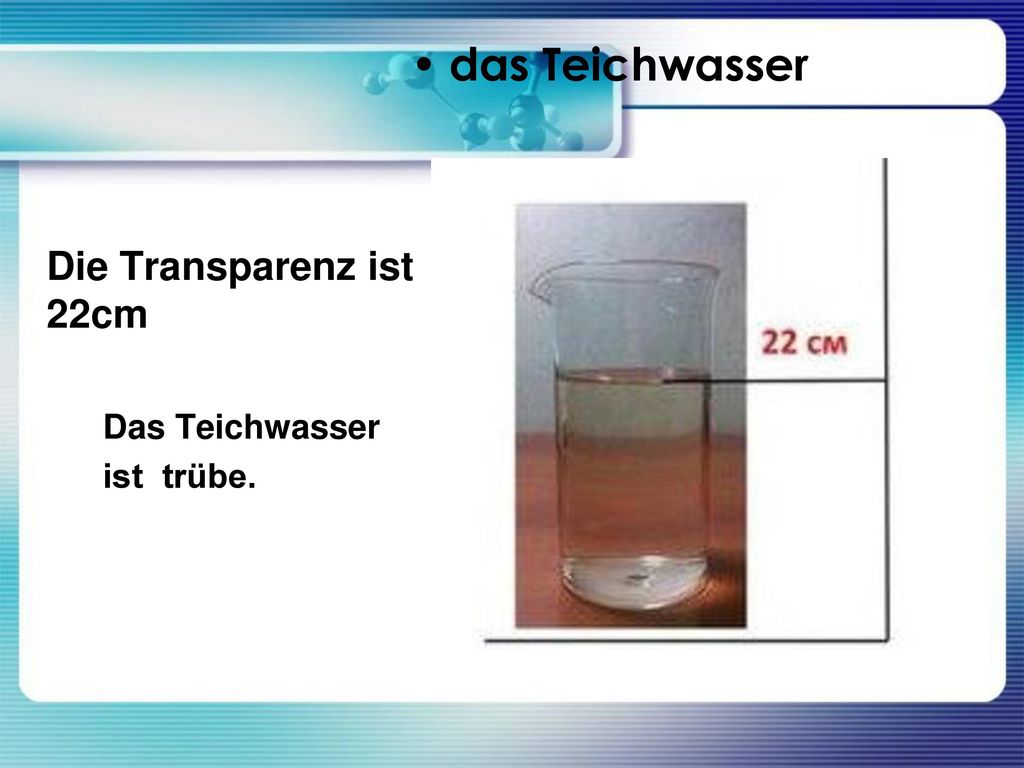 das Teichwasser Die Transparenz ist 22cm Das Teichwasser ist trübe.