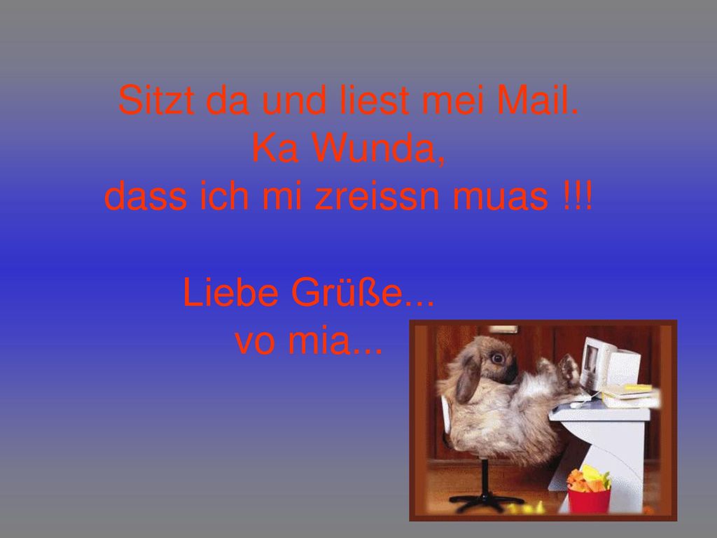 Sitzt da und liest mei Mail. Ka Wunda, dass ich mi zreissn muas !!!