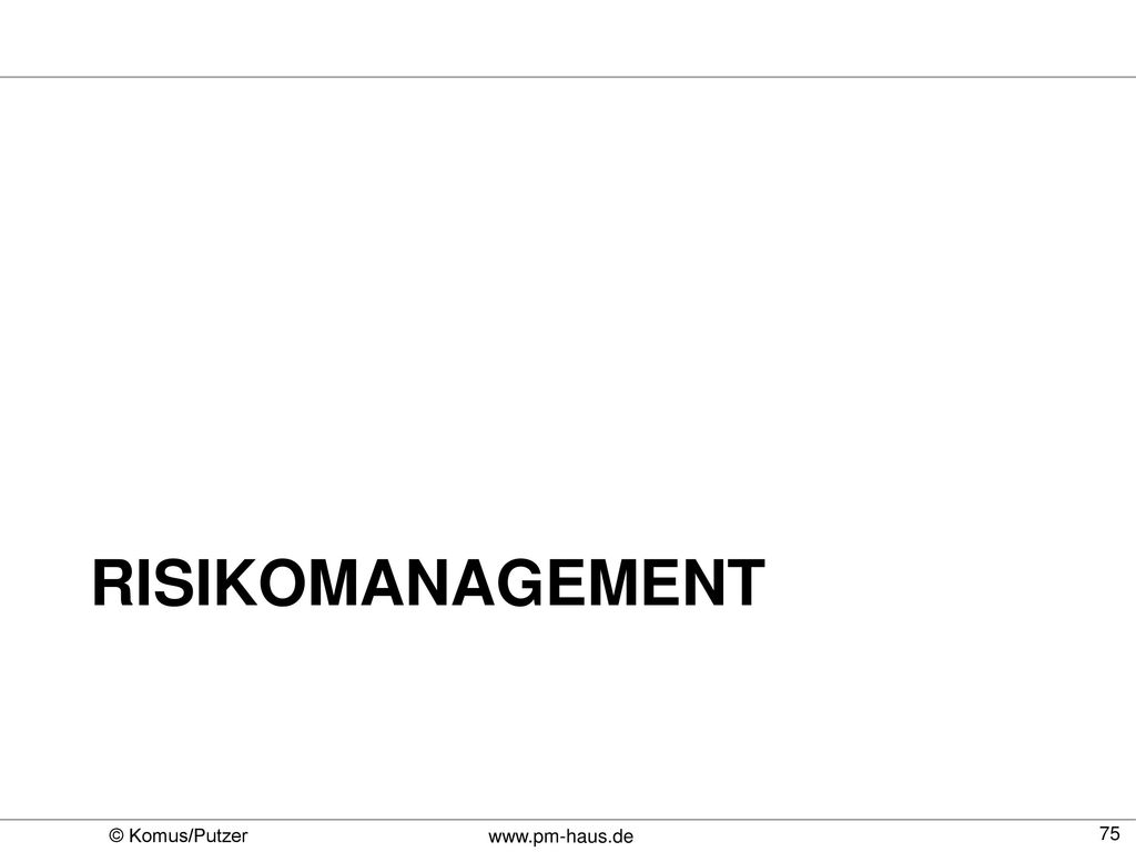 risikomanagement