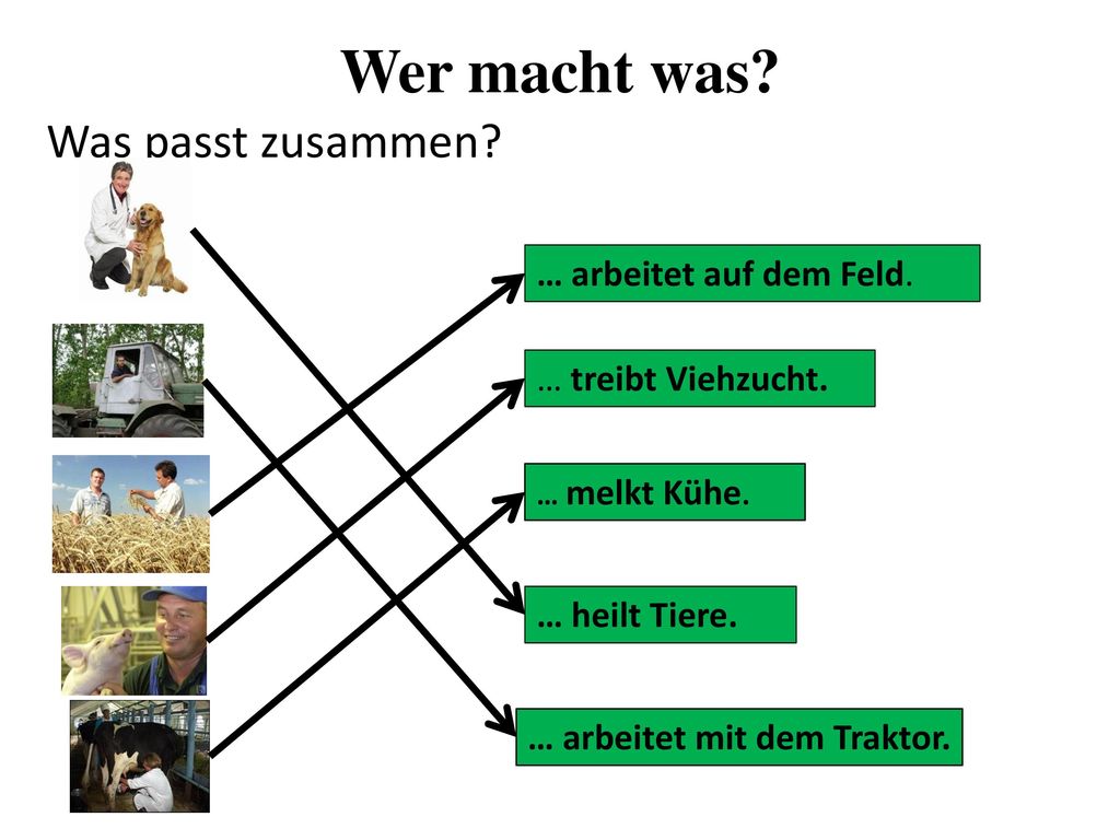 Wer macht was Was passt zusammen … arbeitet auf dem Feld.