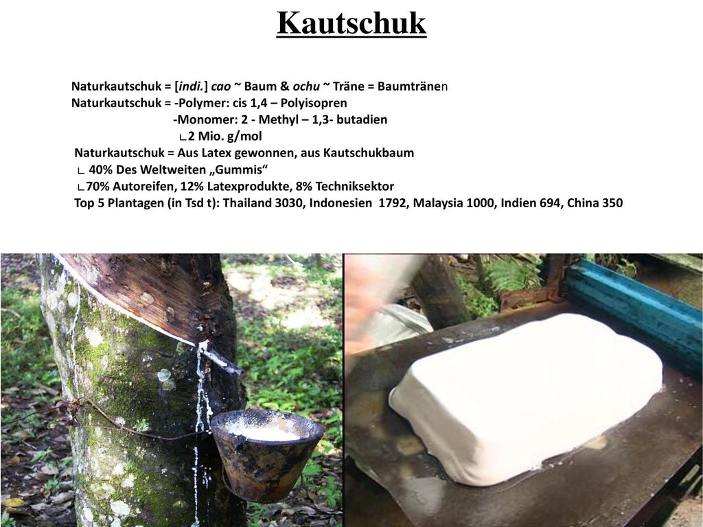 Kautschuk Naturkautschuk = [indi.] cao ~ Baum & ochu ~ Träne = Baumtränen. Naturkautschuk = -Polymer: cis 1,4 – Polyisopren.