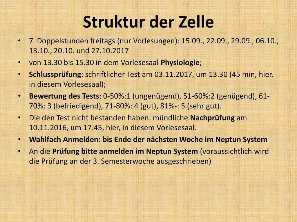 Struktur der Zelle 7 Doppelstunden freitags (nur Vorlesungen): , , , , , und