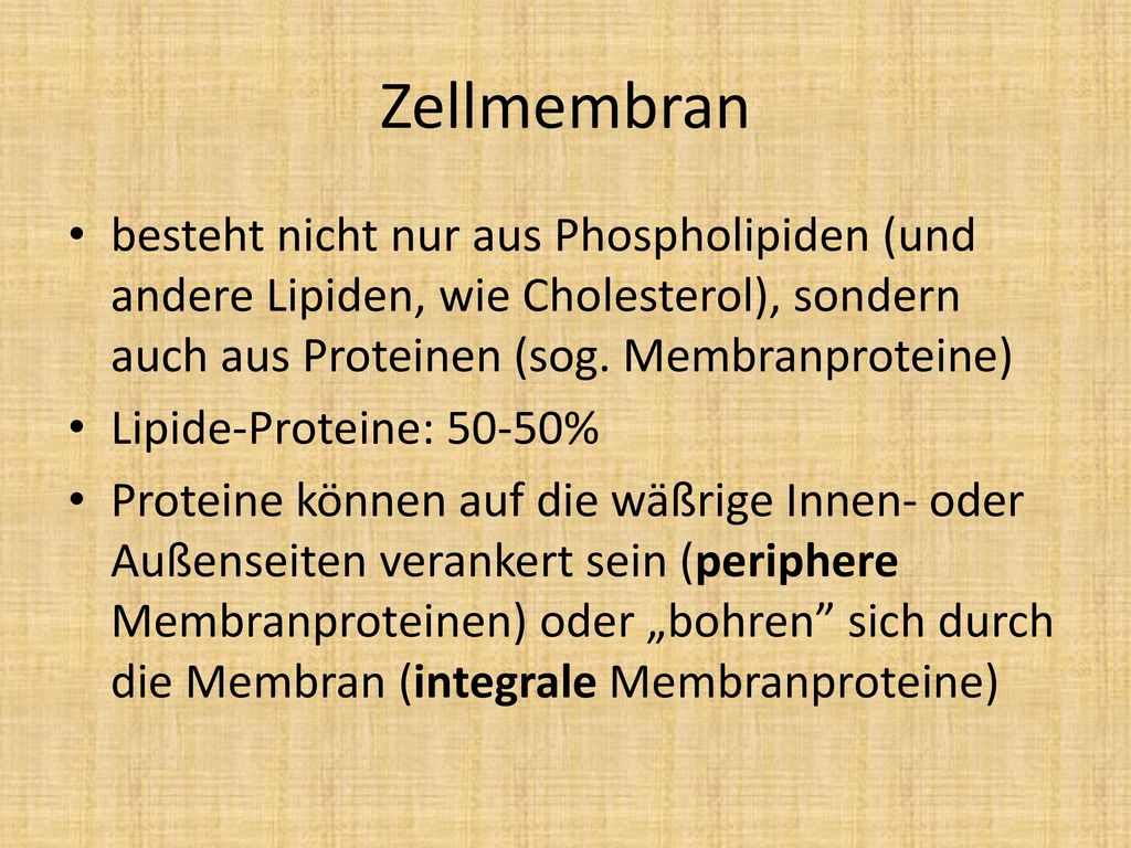 Zellmembran besteht nicht nur aus Phospholipiden (und andere Lipiden, wie Cholesterol), sondern auch aus Proteinen (sog. Membranproteine)