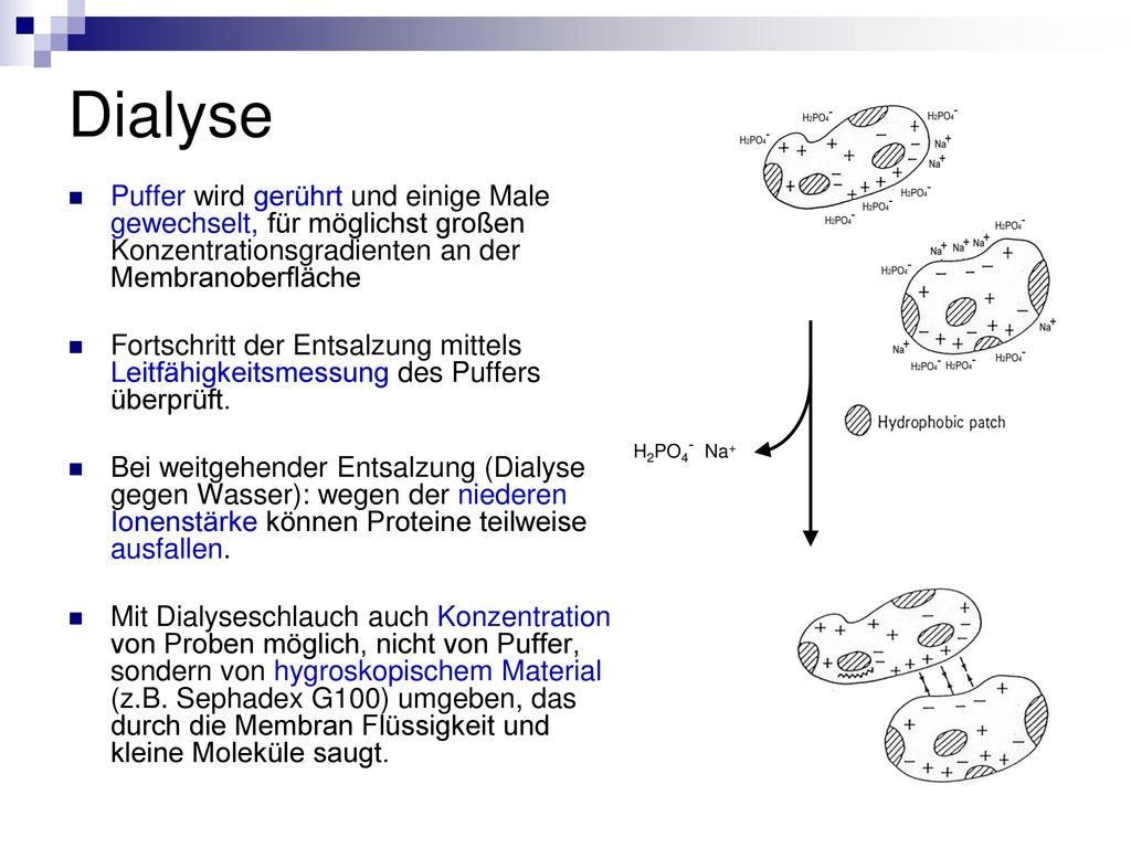 Dialyse Puffer wird gerührt und einige Male gewechselt, für möglichst großen Konzentrationsgradienten an der Membranoberfläche.