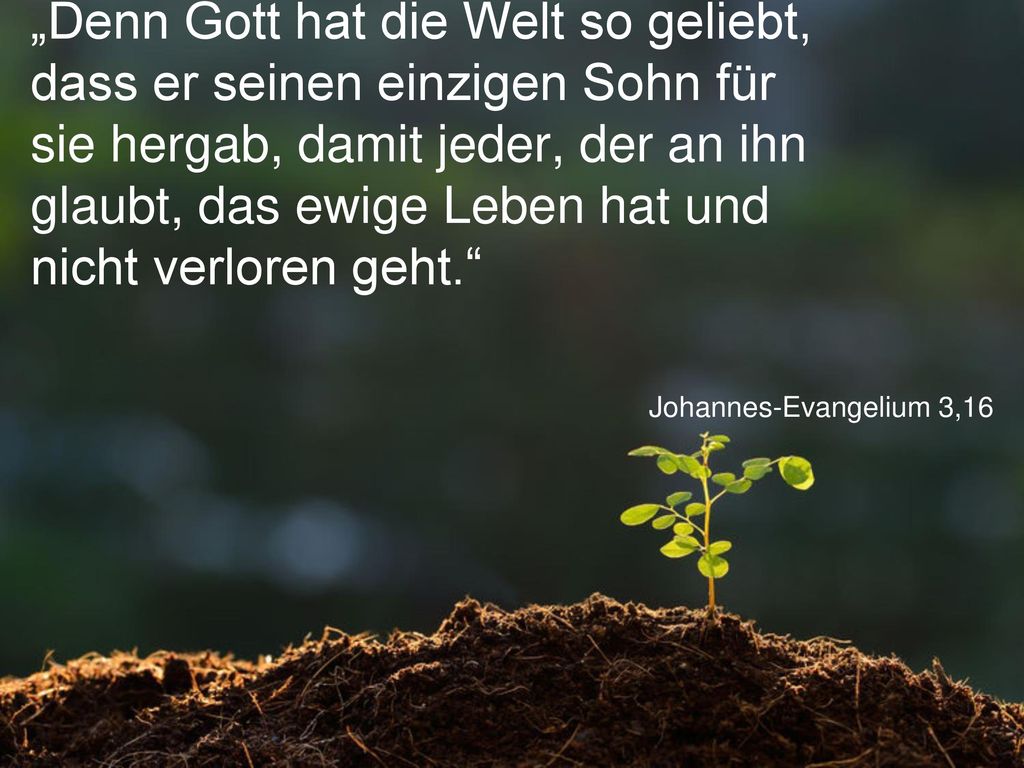 „Denn Gott hat die Welt so geliebt, dass er seinen einzigen Sohn für sie hergab, damit jeder, der an ihn glaubt, das ewige Leben hat und nicht verloren geht.