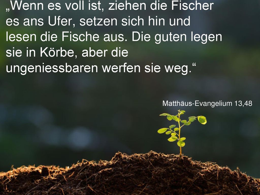 „Wenn es voll ist, ziehen die Fischer es ans Ufer, setzen sich hin und lesen die Fische aus. Die guten legen sie in Körbe, aber die ungeniessbaren werfen sie weg.