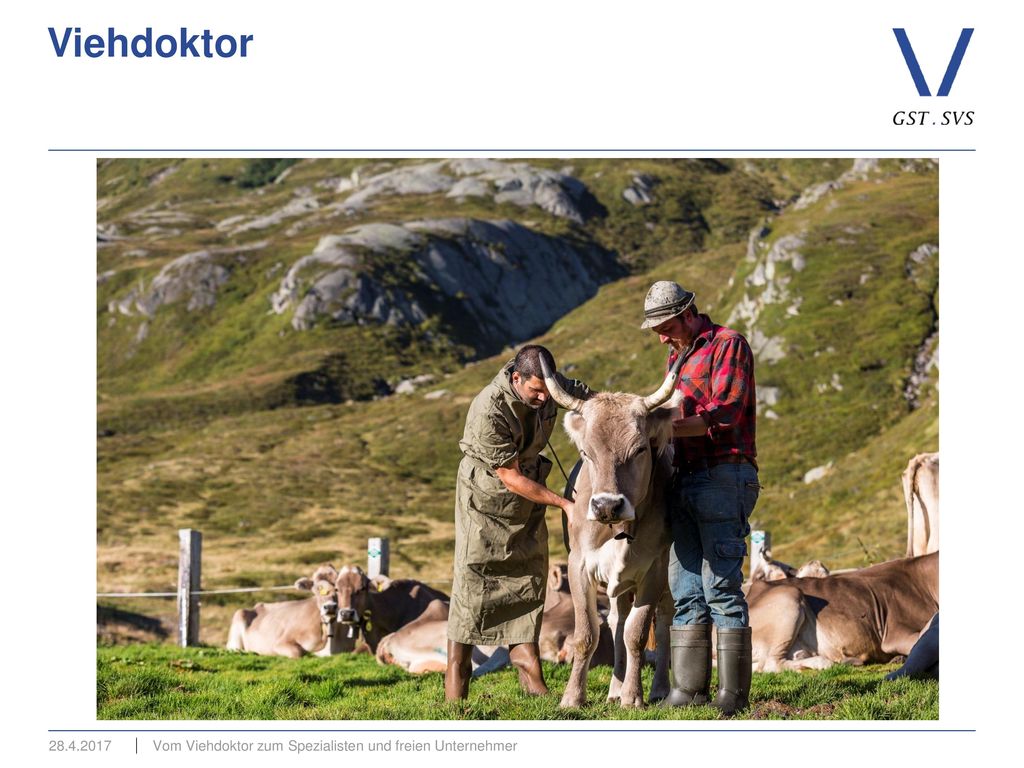 Viehdoktor Vom Viehdoktor zum Spezialisten und freien Unternehmer
