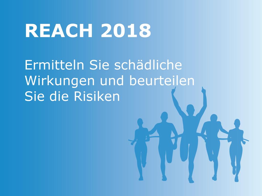 REACH 2018 Ermitteln Sie schädliche Wirkungen und beurteilen Sie die Risiken