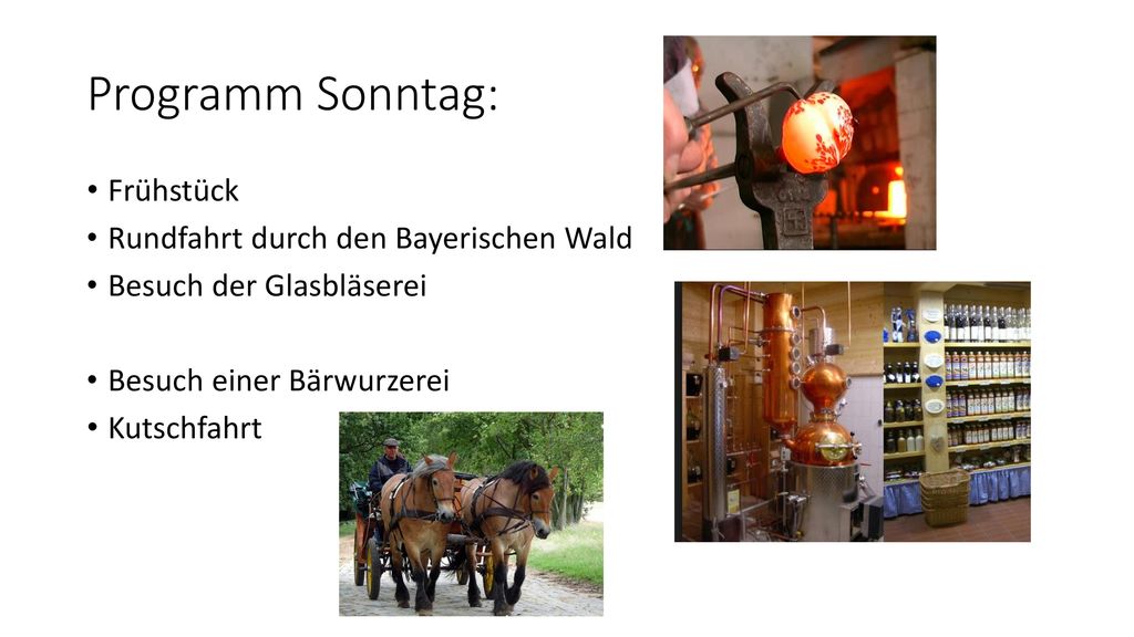 Programm Sonntag: Frühstück Rundfahrt durch den Bayerischen Wald
