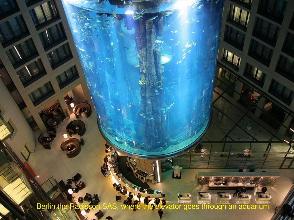 Berlin the Radisson SAS, where the elevator goes through an aquarium