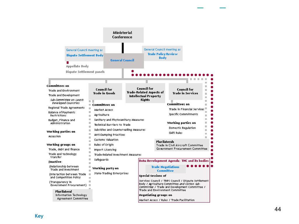 The organization chart below can also be downloaded in a print-friendly pdf version: