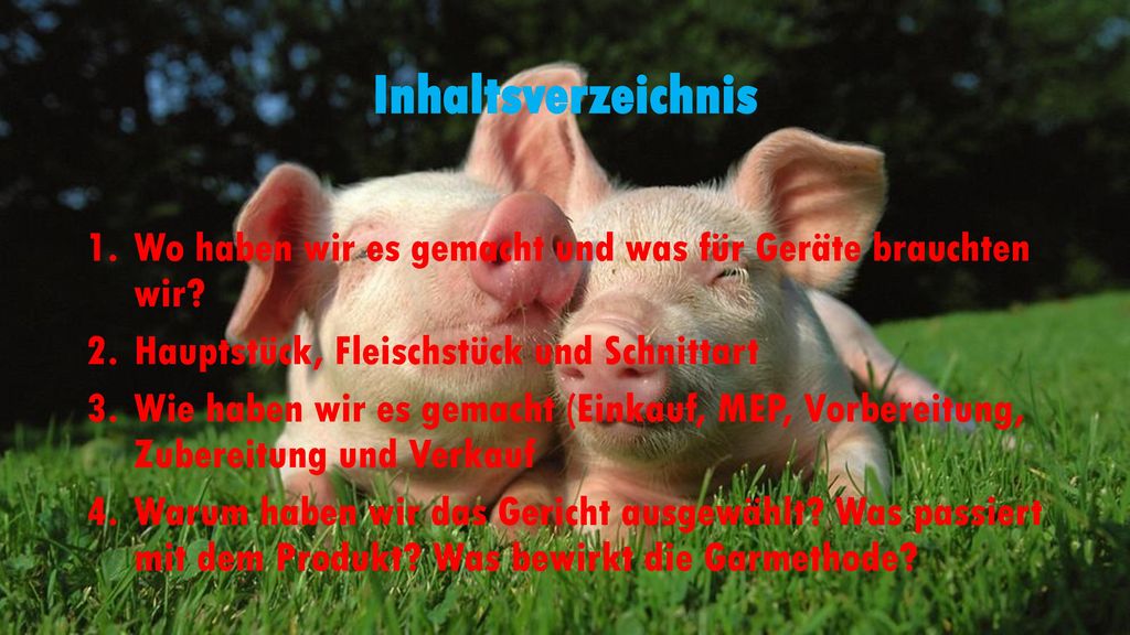 Inhaltsverzeichnis Wo haben wir es gemacht und was für Geräte brauchten wir Hauptstück, Fleischstück und Schnittart.