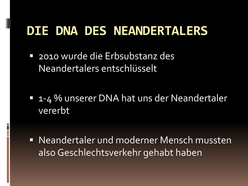 DIE DNA DES NEANDERTALERS