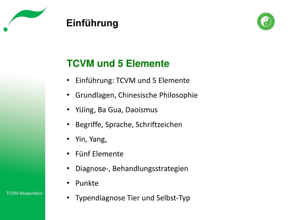 Einführung TCVM und 5 Elemente Einführung: TCVM und 5 Elemente