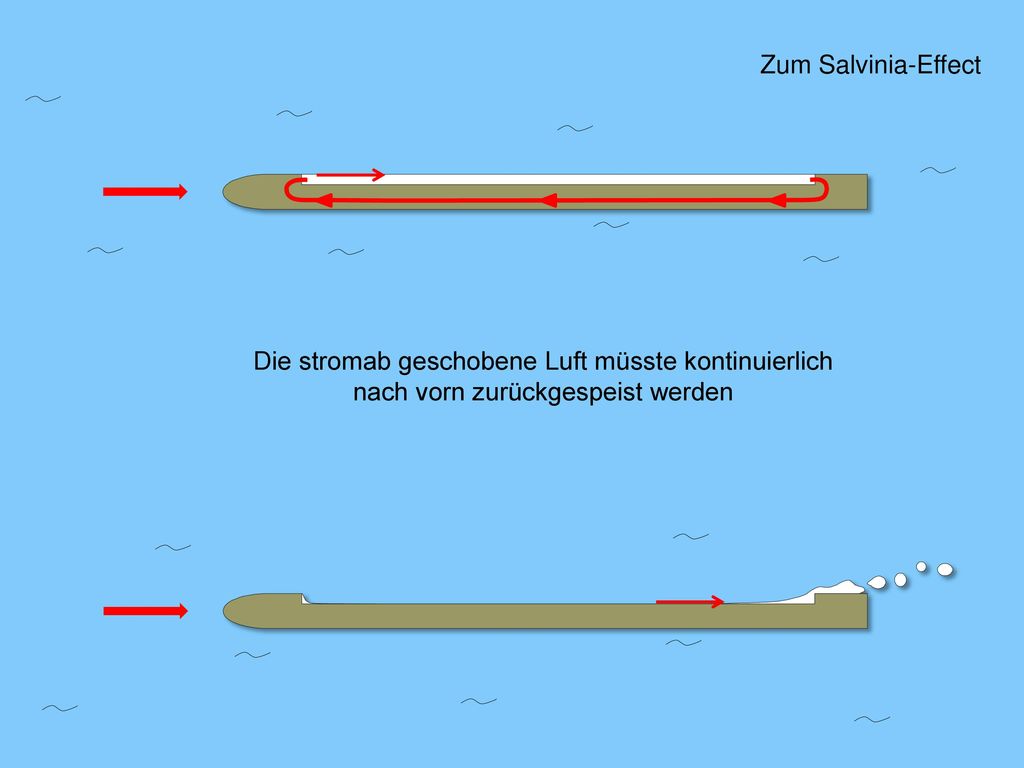 Zum Salvinia-Effect Die stromab geschobene Luft müsste kontinuierlich nach vorn zurückgespeist werden.