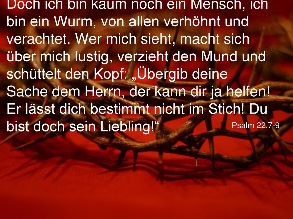 Doch ich bin kaum noch ein Mensch, ich bin ein Wurm, von allen verhöhnt und verachtet. Wer mich sieht, macht sich über mich lustig, verzieht den Mund und schüttelt den Kopf: „Übergib deine Sache dem Herrn, der kann dir ja helfen! Er lässt dich bestimmt nicht im Stich! Du bist doch sein Liebling!