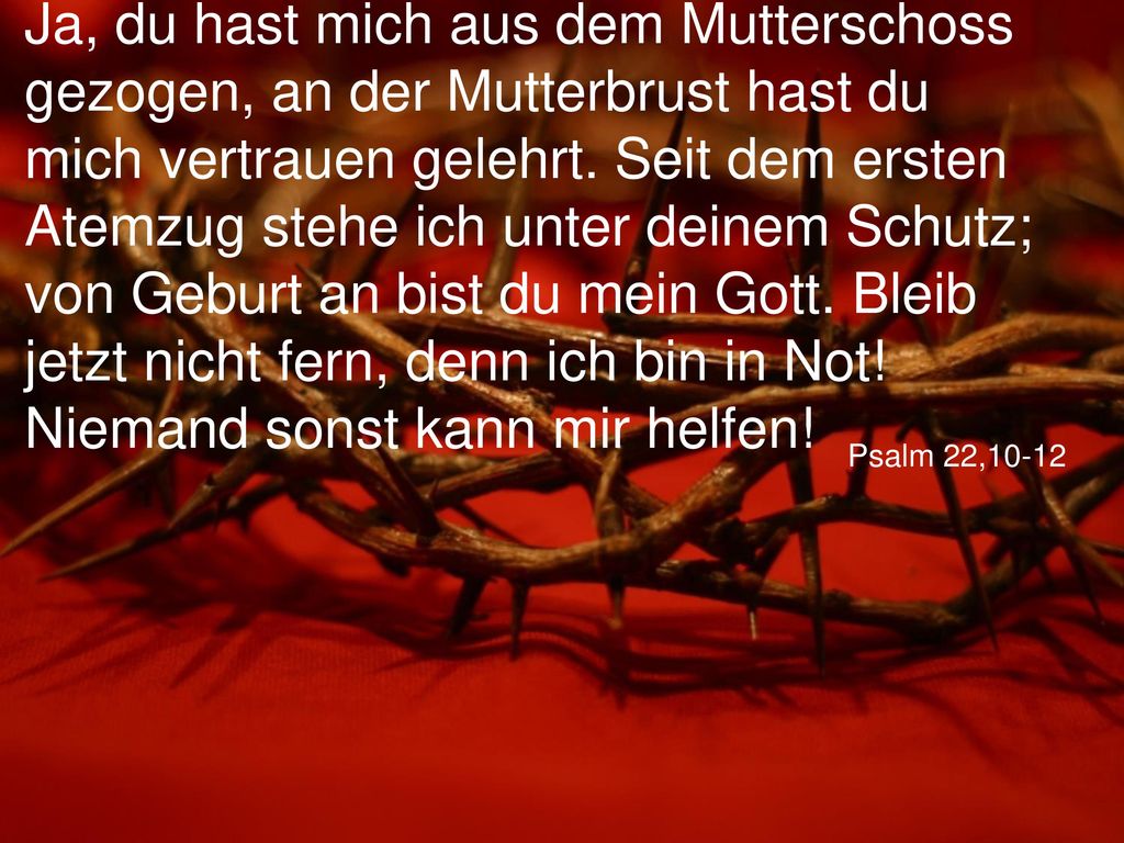 Ja, du hast mich aus dem Mutterschoss gezogen, an der Mutterbrust hast du mich vertrauen gelehrt. Seit dem ersten Atemzug stehe ich unter deinem Schutz; von Geburt an bist du mein Gott. Bleib jetzt nicht fern, denn ich bin in Not! Niemand sonst kann mir helfen!