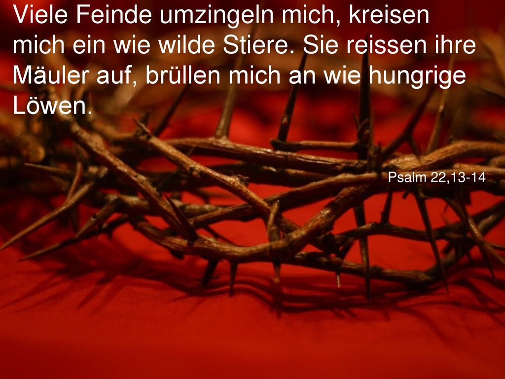 Viele Feinde umzingeln mich, kreisen mich ein wie wilde Stiere