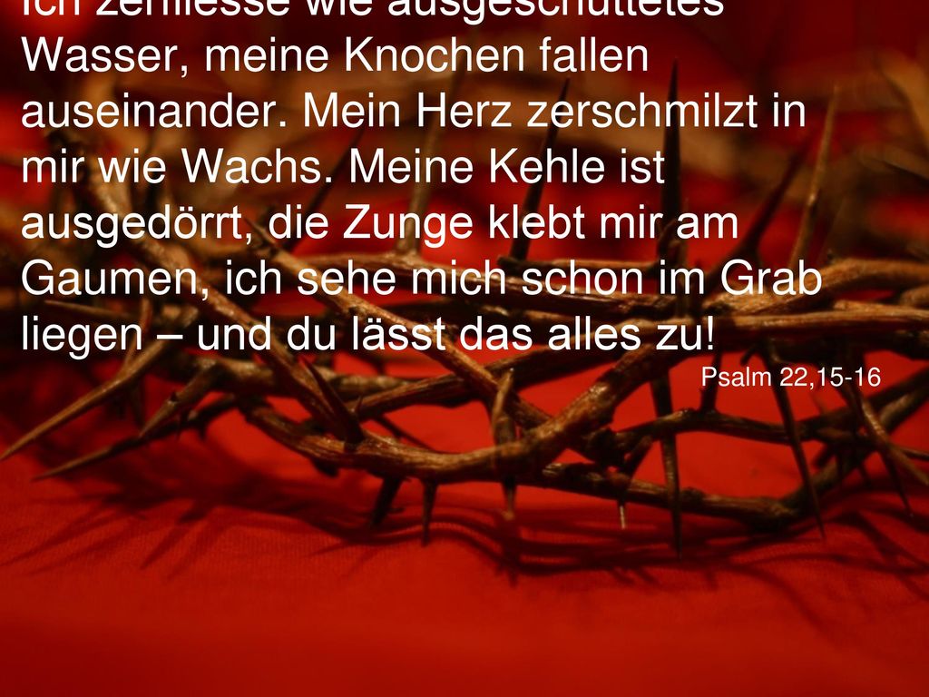 Ich zerfliesse wie ausgeschüttetes Wasser, meine Knochen fallen auseinander. Mein Herz zerschmilzt in mir wie Wachs. Meine Kehle ist ausgedörrt, die Zunge klebt mir am Gaumen, ich sehe mich schon im Grab liegen – und du lässt das alles zu!