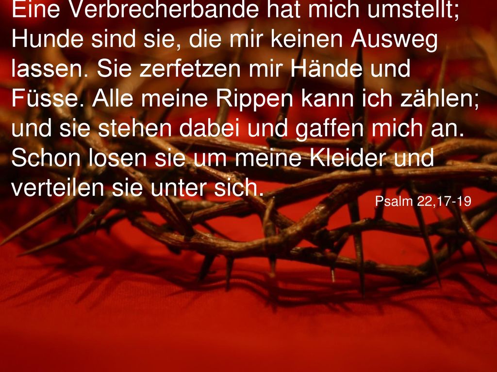 Eine Verbrecherbande hat mich umstellt; Hunde sind sie, die mir keinen Ausweg lassen. Sie zerfetzen mir Hände und Füsse. Alle meine Rippen kann ich zählen; und sie stehen dabei und gaffen mich an. Schon losen sie um meine Kleider und verteilen sie unter sich.