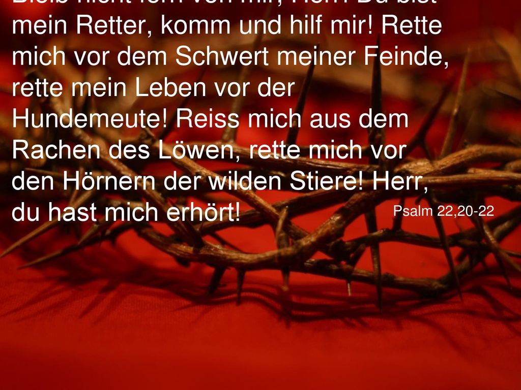 Bleib nicht fern von mir, Herr. Du bist mein Retter, komm und hilf mir