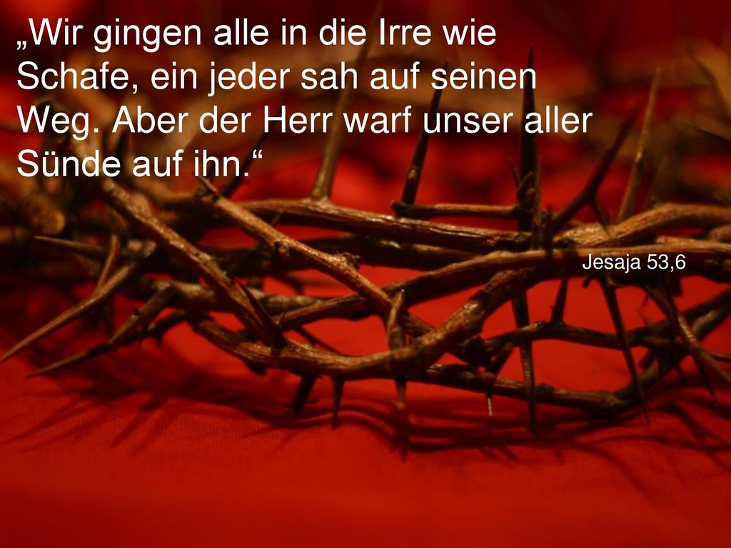 „Wir gingen alle in die Irre wie Schafe, ein jeder sah auf seinen Weg