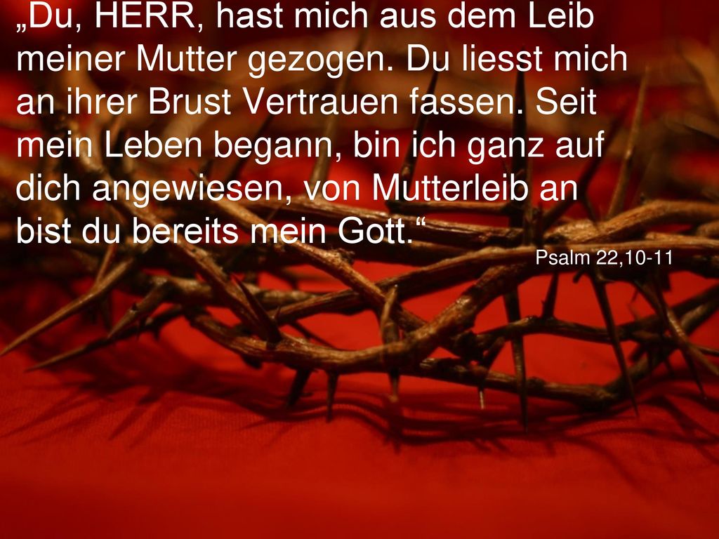 „Du, HERR, hast mich aus dem Leib meiner Mutter gezogen