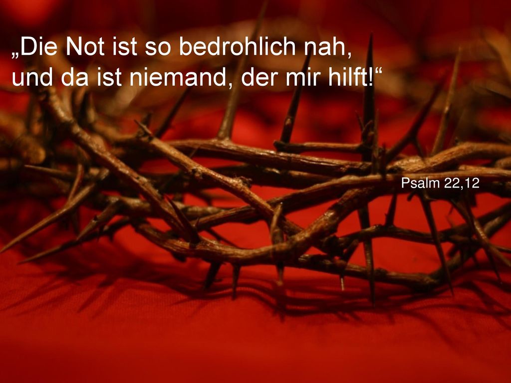 „Die Not ist so bedrohlich nah, und da ist niemand, der mir hilft!