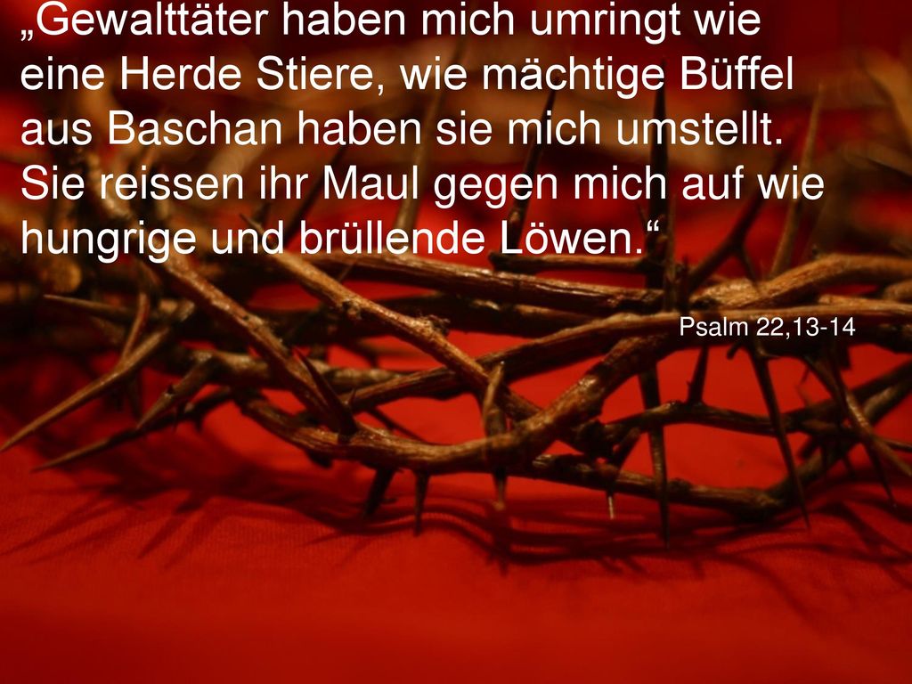 „Gewalttäter haben mich umringt wie eine Herde Stiere, wie mächtige Büffel aus Baschan haben sie mich umstellt. Sie reissen ihr Maul gegen mich auf wie hungrige und brüllende Löwen.