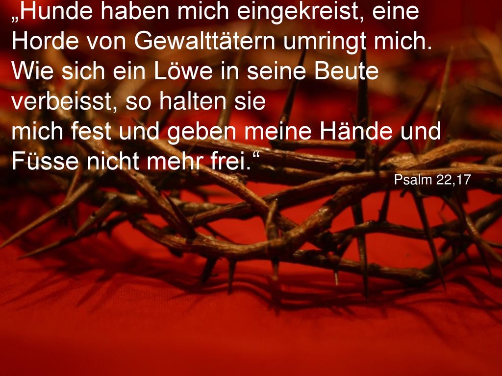 „Hunde haben mich eingekreist, eine Horde von Gewalttätern umringt mich. Wie sich ein Löwe in seine Beute verbeisst, so halten sie mich fest und geben meine Hände und Füsse nicht mehr frei.