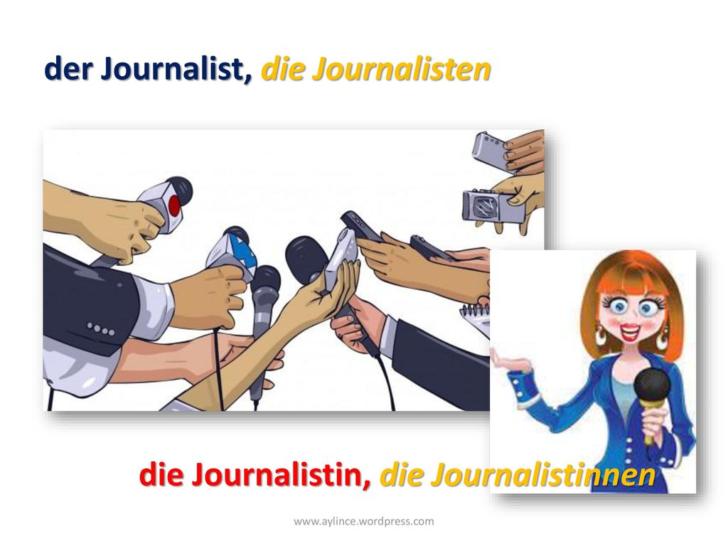 der Journalist, die Journalisten