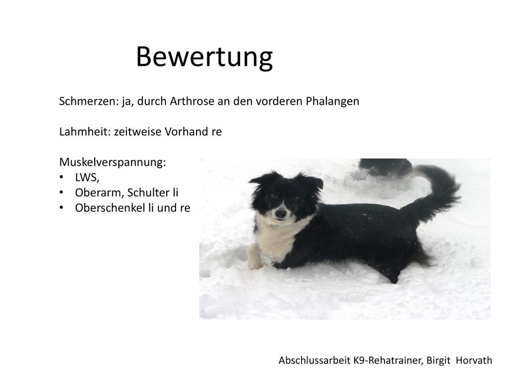 Bewertung Schmerzen: ja, durch Arthrose an den vorderen Phalangen