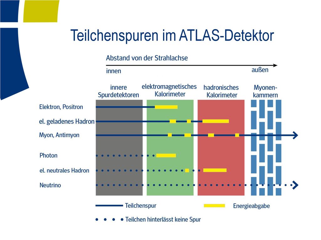 Der ATLAS-Detektor 22 m. Mehr Informationen über den ATLAS-Detektor finden Sie im Dokument [ATLAS_Materialien] auf den Seiten