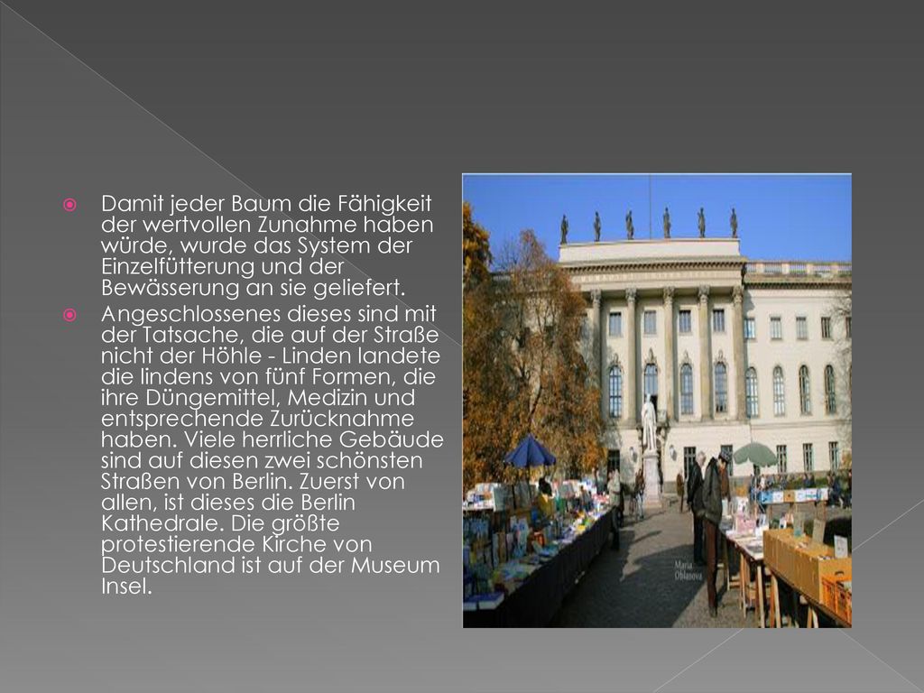 Damit jeder Baum die Fähigkeit der wertvollen Zunahme haben würde, wurde das System der Einzelfütterung und der Bewässerung an sie geliefert.