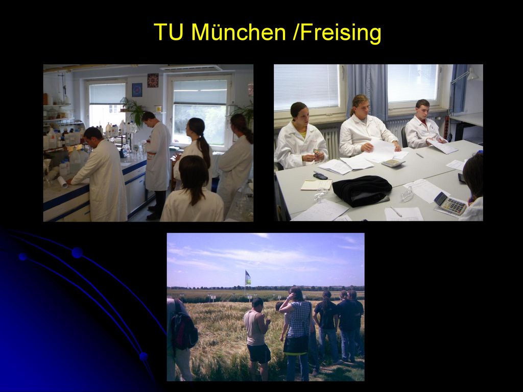 TU München /Freising Mit Frau Sommer bestimmen wir den Blausäuregehalt in Futtermitteln und analysieren Fettsäuren mit dem Gaschromatographen.