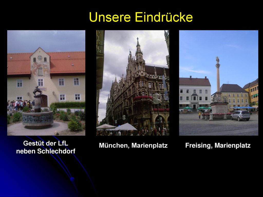 Unsere Eindrücke Gestüt der LfL neben Schlechdorf München, Marienplatz
