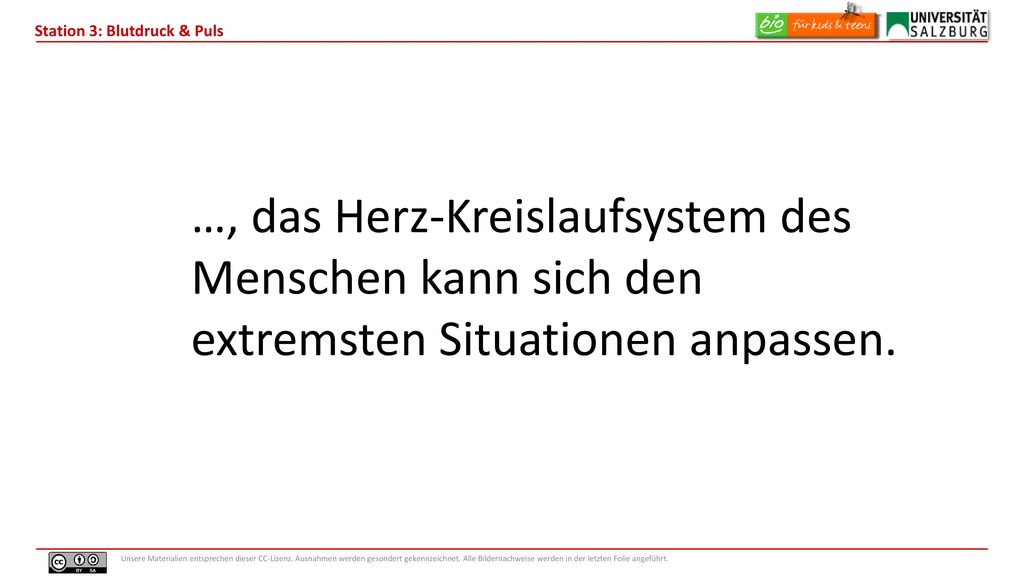…, das Herz-Kreislaufsystem des Menschen kann sich den extremsten Situationen anpassen.