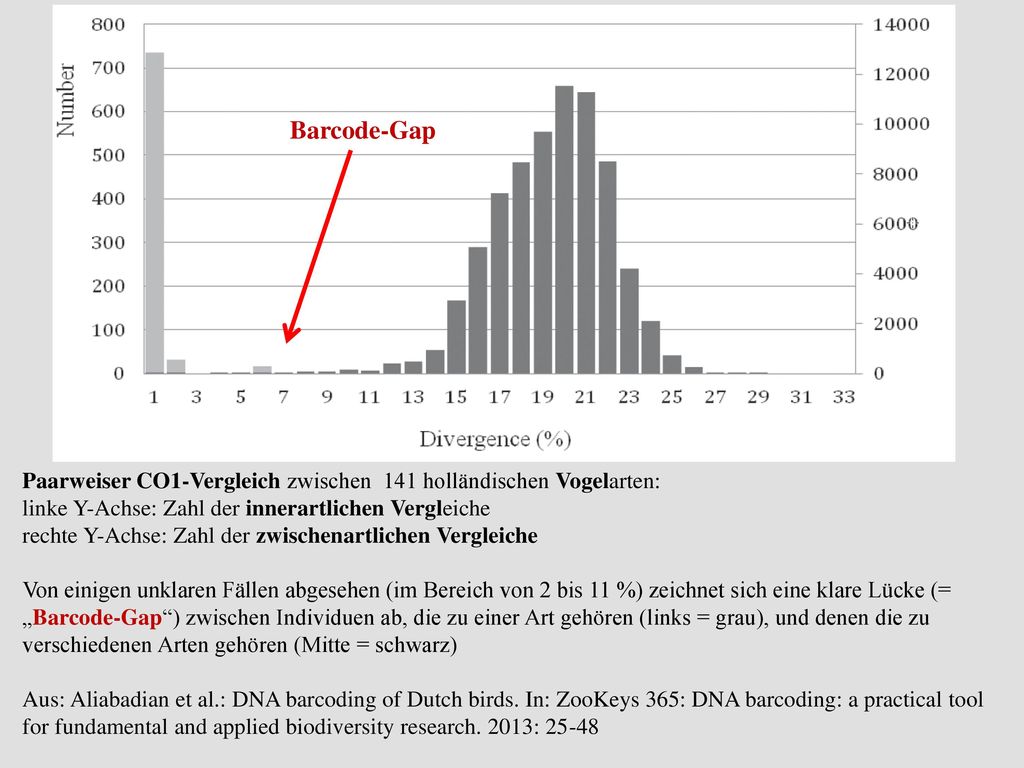 Barcode-Gap Paarweiser CO1-Vergleich zwischen 141 holländischen Vogelarten: linke Y-Achse: Zahl der innerartlichen Vergleiche.