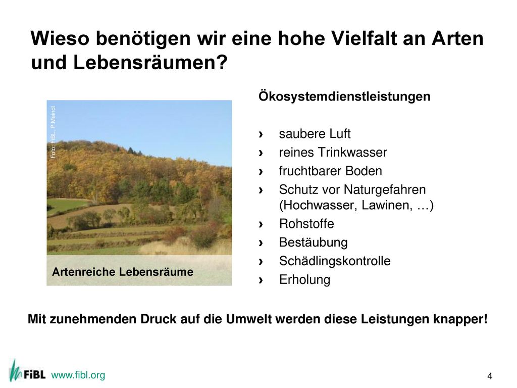 Wieso benötigen wir eine hohe Vielfalt an Arten und Lebensräumen