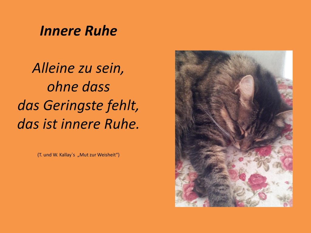 Innere Ruhe Alleine zu sein, ohne dass das Geringste fehlt, das ist innere Ruhe.