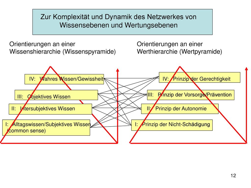Zur Komplexität und Dynamik des Netzwerkes von Wissensebenen und Wertungsebenen