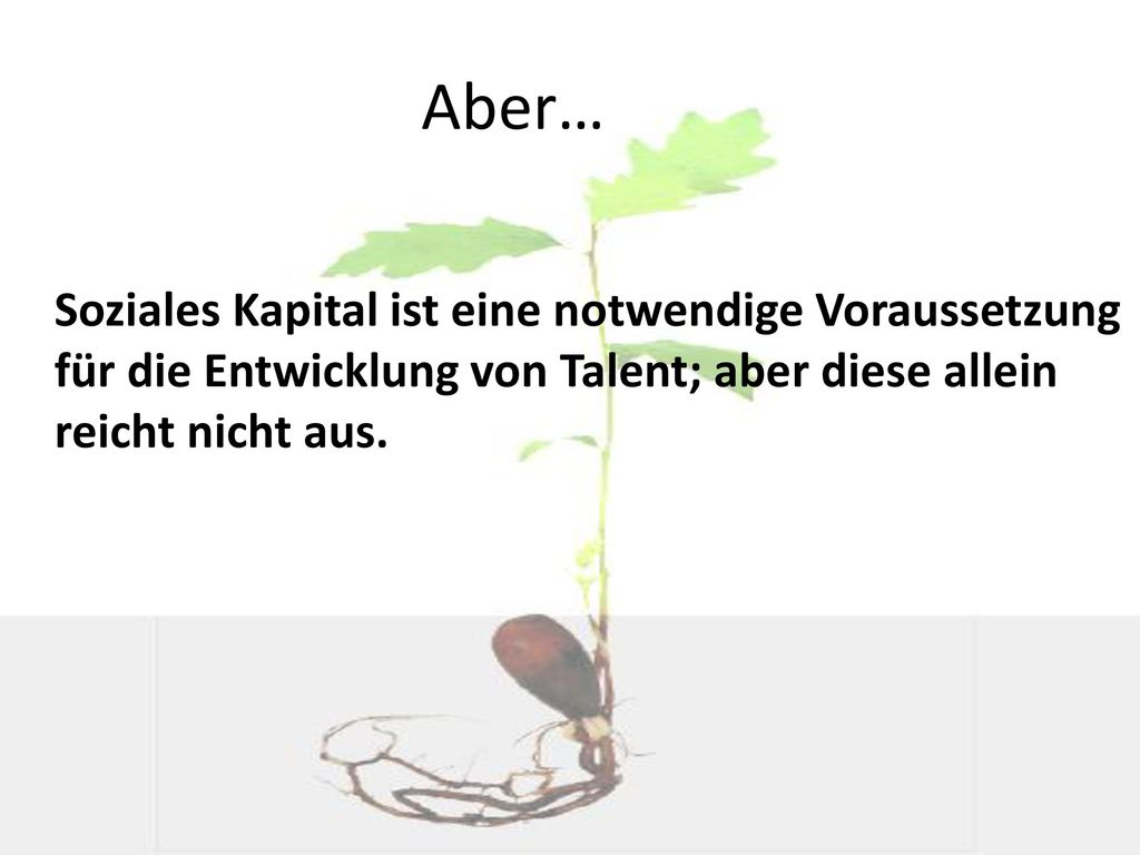 Aber… Soziales Kapital ist eine notwendige Voraussetzung für die Entwicklung von Talent; aber diese allein reicht nicht aus.