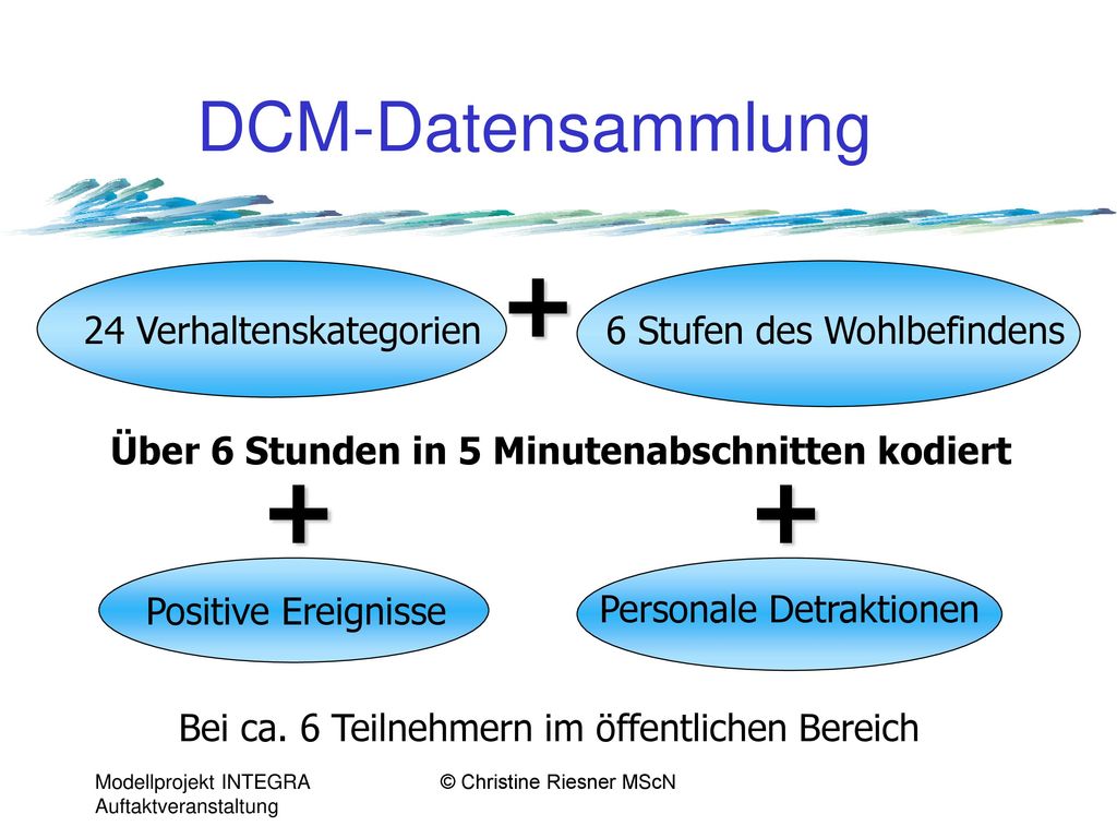 + + + DCM-Datensammlung 24 Verhaltenskategorien