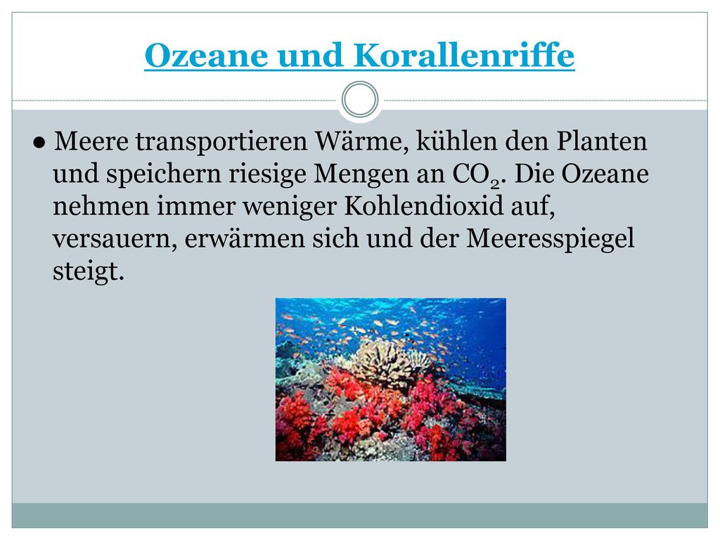 Ozeane und Korallenriffe