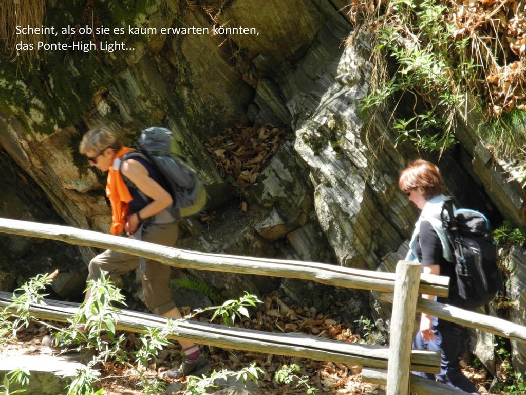 Scheint, als ob sie es kaum erwarten könnten, das Ponte-High Light...