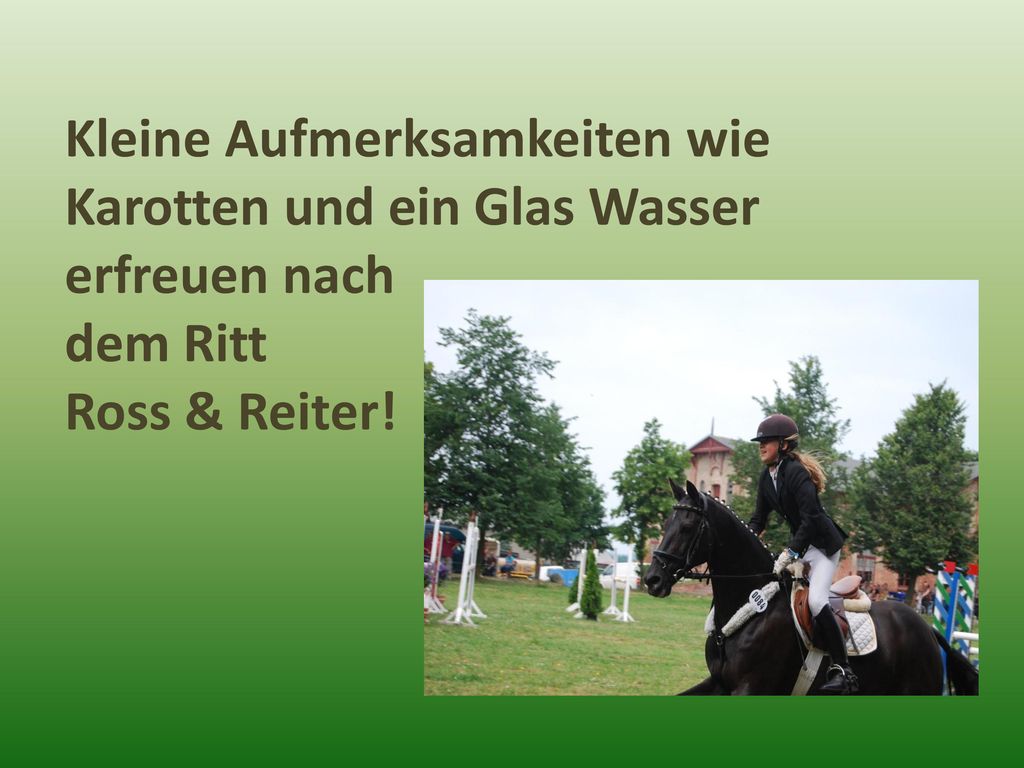 Kleine Aufmerksamkeiten wie Karotten und ein Glas Wasser erfreuen nach dem Ritt Ross & Reiter!