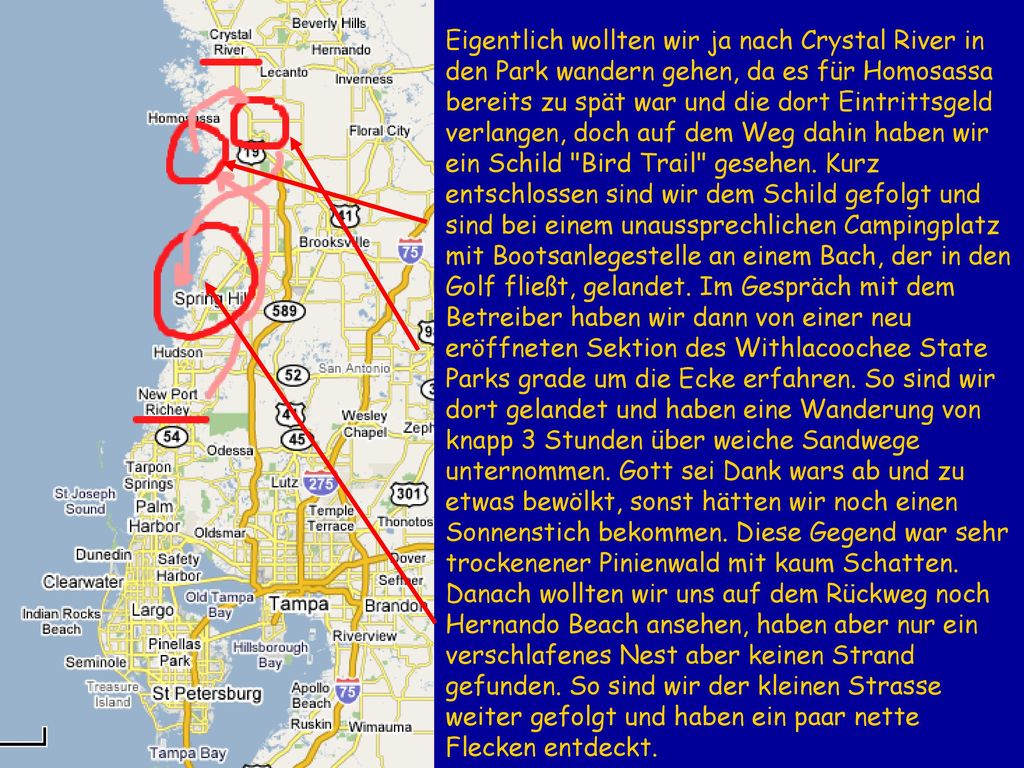 Eigentlich wollten wir ja nach Crystal River in den Park wandern gehen, da es für Homosassa bereits zu spät war und die dort Eintrittsgeld verlangen, doch auf dem Weg dahin haben wir ein Schild Bird Trail gesehen.