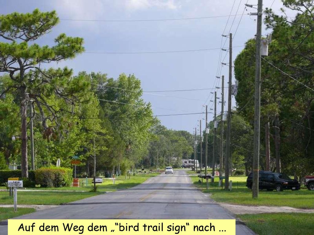 Auf dem Weg dem „ bird trail sign nach ...